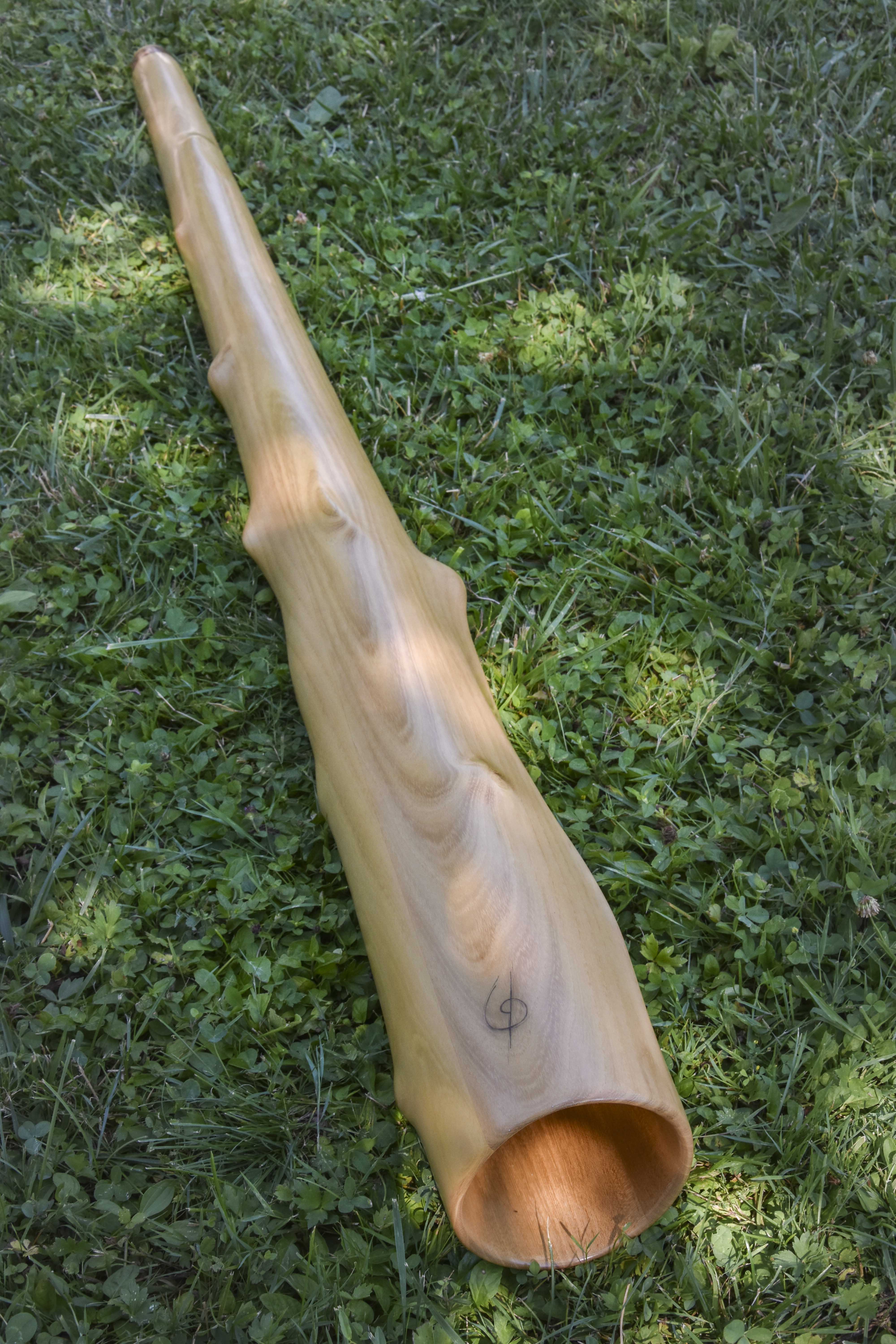 Didgeridoo, en Ré#, fabriqué en bois de robinier avec une cloche ronde